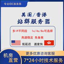  Overseas station group server United States Hong Kong high-speed multi-IP different C-segment 1C4C8C record-free physical machine rental