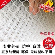 Direct Sales Plastic Flat Mesh Breeding Net White PE Grid Balcony Protective Horse Beekeeping Chickens Duck Goose down to the manure net
