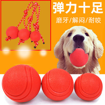 Pet Rubber Solid Elastic Ball Training Dog Pet Ball Dog Bite without rotten Tooth Bite Dog Bite Toy Ball