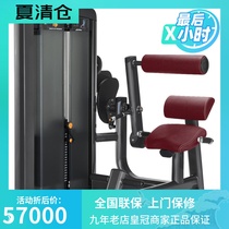 Original American Lijian LIFEFITNESS Brand Insignia Series Back Stretching Trainer SS-BE