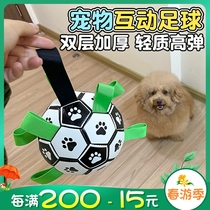 Coated Pet Pooch Toy Football Small Number Training Indoor outdoor interaction resistant to bite and smother to be a young dog