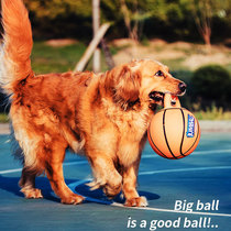 Expensive Dog toy ball resistant to bite large dog self-hi ball grinding teeth relief side Labrador pet dog supplies