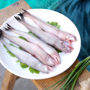 温州渔夫 海鲜特产