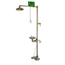 304 stainless steel pedal emptying antifreeze eye washer * emptying antifreeze double mouth eyewash factory eyewash