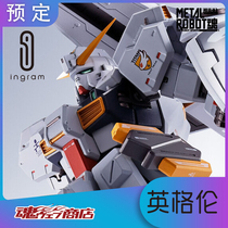 Japanese version of the World Soul Limited METAL ROBOT soul MR soul heizl changed TR-1 accessories bag set