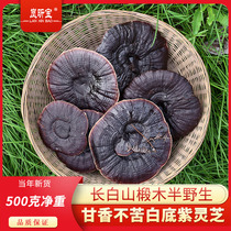 Changbai Mountain purple ganoderma lucidum 500 grams of the whole flower big soup no bitterness no slices tea powder non-red brewable wine