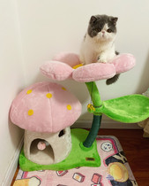 Tiger Carty Kerry Mushroom Flower Cat Climbing Frame Cat Toys Cat Jumping Station Cat Tree