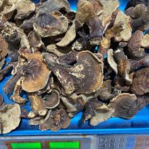 Wild Changbai Mountain Ganoderma lucidum sparkling wine stew meat fragrance 250g
