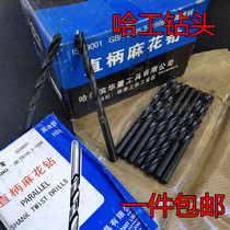 Harbin straight handle twist drill Harbin Huasu high-speed steel steel drill bit nitrided black drill bit 0 5-16 0