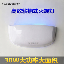 Yigi J900 sticky-Catching fly-extinguishing lamp mosquito-repellent lamp restaurant factory wall-mounted 30W power mosquito-killing fly lamp