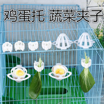 White plastic egg tray vegetable clip thumb box golden green gray swallow hibiscus bird Jade Bird supplies bird cage accessories