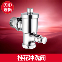 Nissin all-copper hand-held squatting pan flush valve button stool flushing toilet 90-degree wall switch delay valve