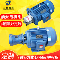 Oil pump motor gear pump plunger pump vane pump motor unit in-line oil pump motor complete set motor combination