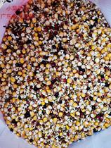No bowls of beans pigeons pigeons pigeons pigeons corn nutrition calcium mixed feed pigeon grains 50kg