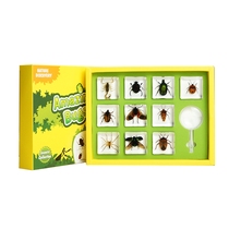 Qianqiangu Childrens science cognitive educational toys Science experiment set FK series resin embedded insect specimens