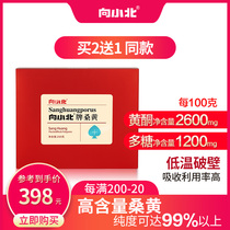  Buy 3 get 1 free Xiaobei Mulberry Yellow Powder Mulberry Yellow Fungus Essence Powder Ganoderma Lucidum 250g non-Tibetan wild mulberry tree mulberry Yellow