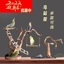Parrot shelf Xuanfeng peony small and medium-sized stand tree root training bird stand branch bird stand stand stand stand solid wood