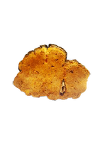 Tibet straight hair authentic Bomi wild Super Mulberry Mulberry yellow Ganoderma lucidum Linzhi 500 grams sent wild Ganoderma lucidum