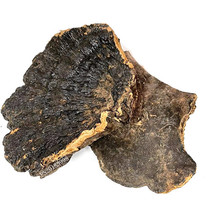 Authentic Hainan deep mountains wild thin tree tree mushroom Ganoderma lucidum red can be sliced purple Zhi powder black Linzhi 500g