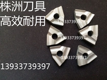 Machine clip tool blade YT15YT5YG6YG8YW1YW2 T31905F T31905FZ T31905A