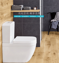 German Gaoyi water saving 3 5 5 liters conjoined toilet toilet toilet toilet toilet toilet 39119001