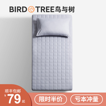 Bird and tree mattress padded household tatami mattress Summer student dormitory single sponge pad Rental special