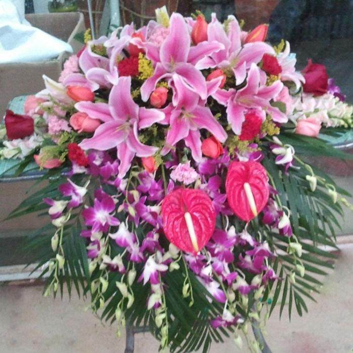 出土奇兵演员表