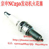 Zongshen NC250450 engine spark plug Huayang T6 Bozoerkeweisi wolf thief NC spark plug