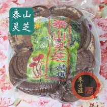 Taishan Ganoderma Lucidum 500g pruned wild red Ganoderma Lucidum Deep mountain Linzhi Red Ganoderma Lucidum vacuum packaging