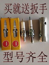 Japan NGK spark plug motorcycle spark plug C7HSAD8EACR6E motorcycle spark plug