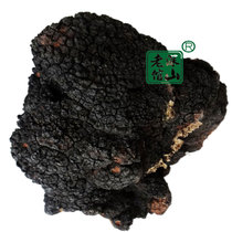 Deep Mountain Veterans Crown Credibility Wild Birch Brown Pore Fungus White Birch 500 gr birch Sans Yellow this year New stock