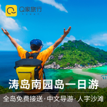 Q Family Tour: Sumei Island, Thailand, one day tour: Nanyuan Island, Taodao, one day snorkeling, deep diving, Turtle Island, tourism and diving