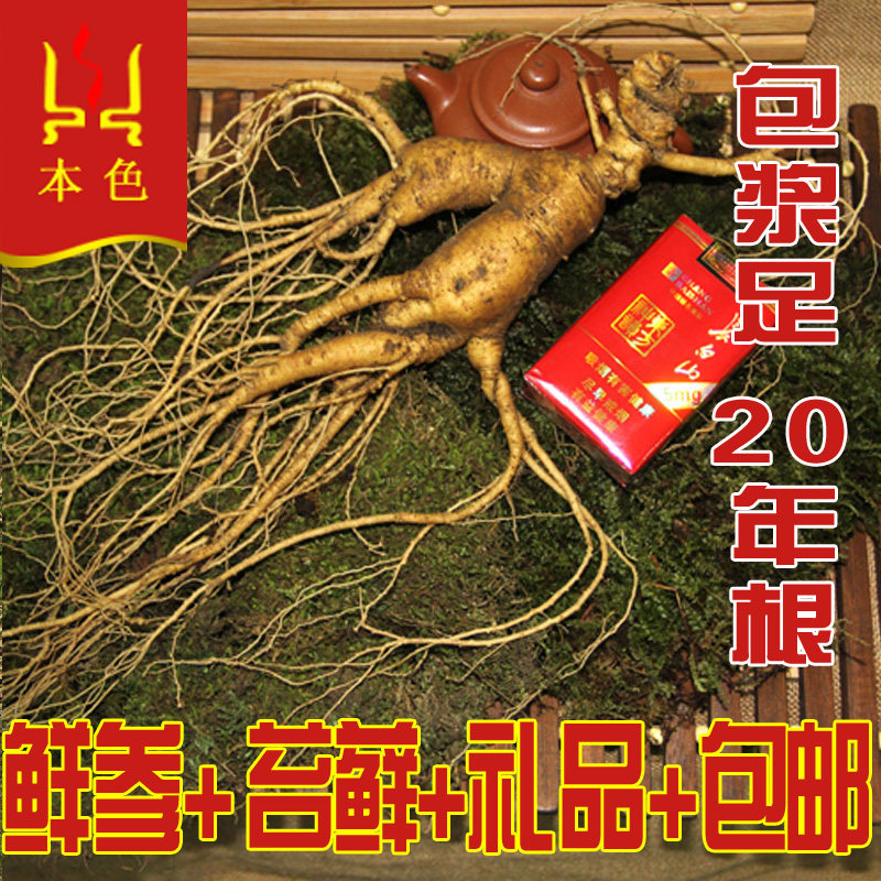 女肾虚肾亏肾阳虚肾阴虚尿痛气血虚腰酸手脚冰