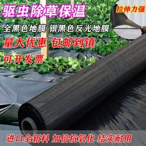 Black mulch Agricultural thickened black mulch Weeding film Orchard vegetable greenhouse Strawberry black film Silver black mulch