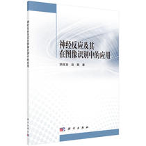 Neural response and its application in image recognition