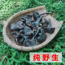 Guangxi wild Ganoderma Lucidum dry purple Ganoderma Lucidum Pure wild black Ganoderma lucidum bubble wine soup Whole Nyingchi Purple Ganoderma Lucidum 250g