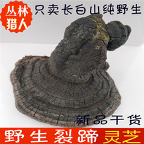 Changbai Mountain wild fissured hoof layer natural Ganoderma lucidum New sliced Wood Linzhi dry goods 500g