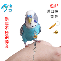 Parrot bird collar collar chain anklet stainless steel collar tiger skin peony Xuanfeng Shrio starling new product
