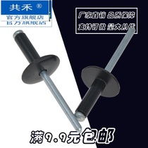 Paint big cap along blind rivet Black gray cement board color large flat head wool nail cap aluminum rivet pull Willow nail