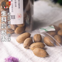 Raw food high quality raw bigroot fruit squirrel hamster chinchilla small pet food transitional food snacks food feeding staple food