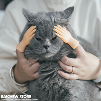 White pig shop should not be online red cat finger sleeve shaking sound with the same cat and dog small hand cat toy rubber