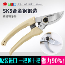 Sagawa Tian gardening landscaping fruit shears stainless steel scissors fruit tree rough shears pruning shears household tools