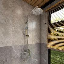Whirlda HDB228LY Straight Tube Shower Toilet Shower Shower