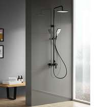 Wing whale bathroom dumb black shower with shelf with water out of the shower