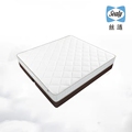 Sealy / slim mattress