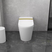 Huida Light Intelligent toilet HDE2001T