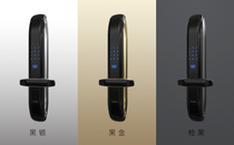 Germany Aiqi fingerprint lock home anti-theft smart electronic lock magnetic card code lock S9000