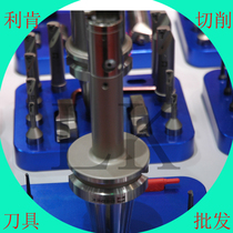 BSA45 degree coarse boring tool handle BT boring handle BT40-BSA25-120 rough knife BT40 handle