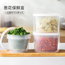 Green onion fresh-keeping box small refrigerator special ingredients coriander onion ginger garlic paste kitchen fruit drain storage sealed box