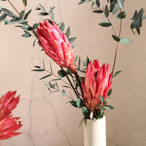 (Mountain Tree) Imported South African Dried Flower Permanent Flower Red Pink Home Vase Flower Arrangement Dried Flower Set
